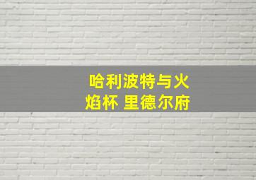 哈利波特与火焰杯 里德尔府